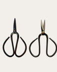 Small Bonsai Scissors