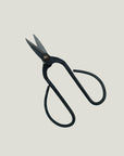 Large Bonsai Scissors